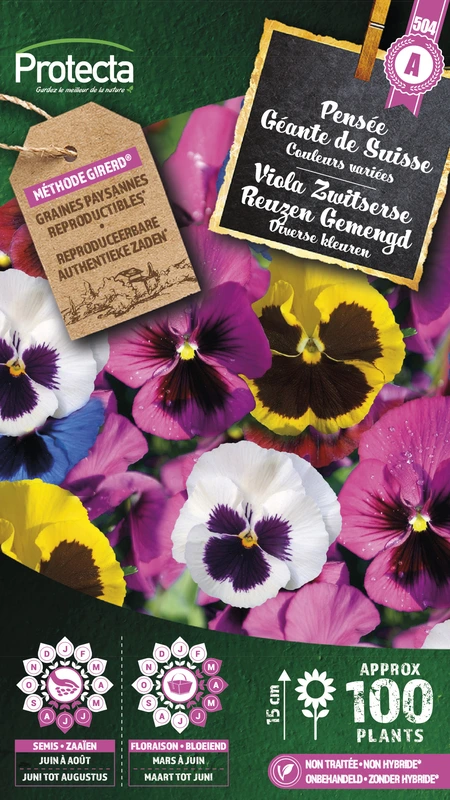 viooltje zwitserse reuzen gemengd