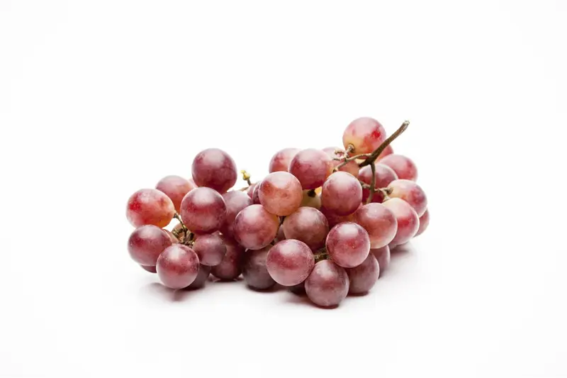 Vitis vin. 'Vanessa' 100-125   C4 - afbeelding 2