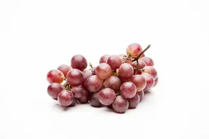 Vitis vin. 'Vanessa' 50- 60 C - afbeelding 2