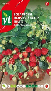 VT AARDBEI BARON VON SOLEMACHER