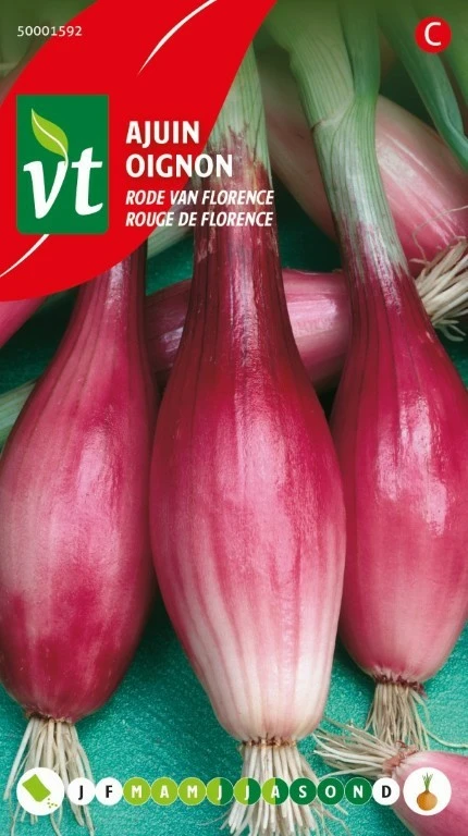 VT AJUIN RODE VAN FLORENCE