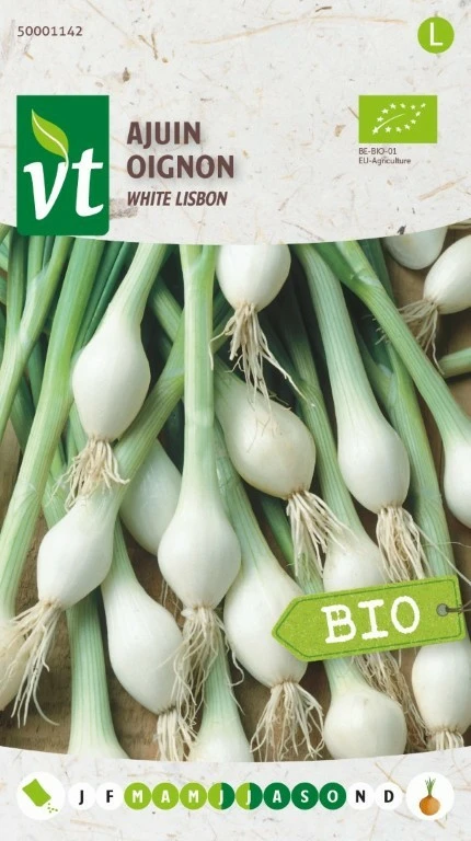 VT AJUIN WHITE LISBON BE-BIO-01