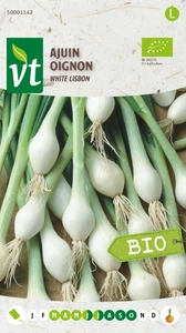 VT AJUIN WHITE LISBON BE-BIO-01