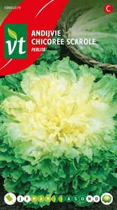 VT ANDIJVIE GEANTE MARAICHERE BUBIKOPF 2