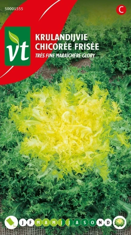 VT ANDIJVIE KRUL TRES FINE MARAICHERE