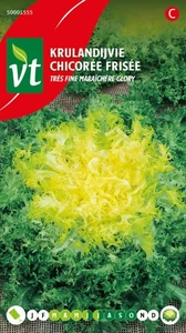 VT ANDIJVIE KRUL TRES FINE MARAICHERE