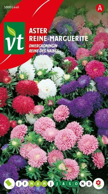 VT ASTER DWERGKONINGIN