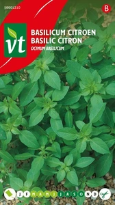 VT BASILICUM CITROEN