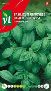 VT BASILICUM GENOVESE