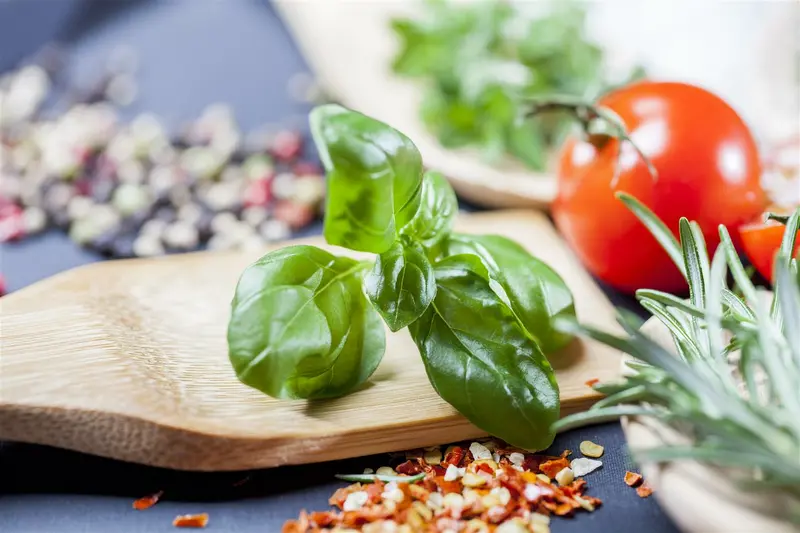 VT BASILICUM GROOTBLADIGE MOESTUINBAK - afbeelding 5