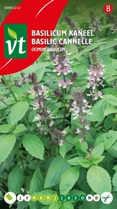 VT BASILICUM KANEEL