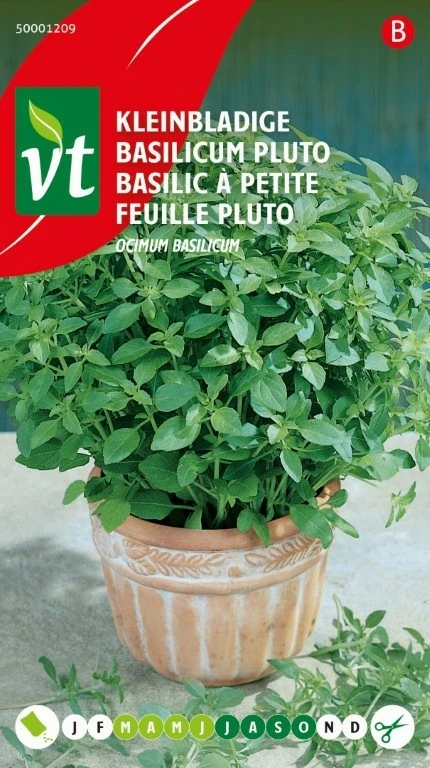 VT BASILICUM PLUTO KLEINBLADIGE