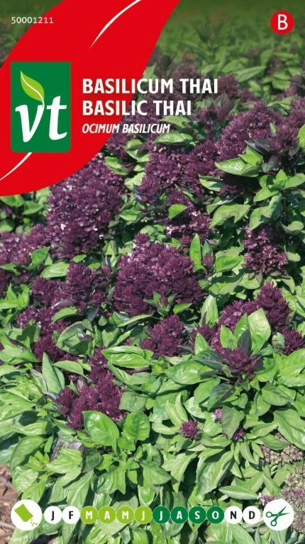 VT BASILICUM THAI