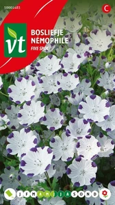 VT BOSLIEFJE FIVE SPOT