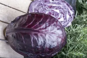 VT BROCCOLI GROENE CALABRESE BE-BIO-01 - afbeelding 2