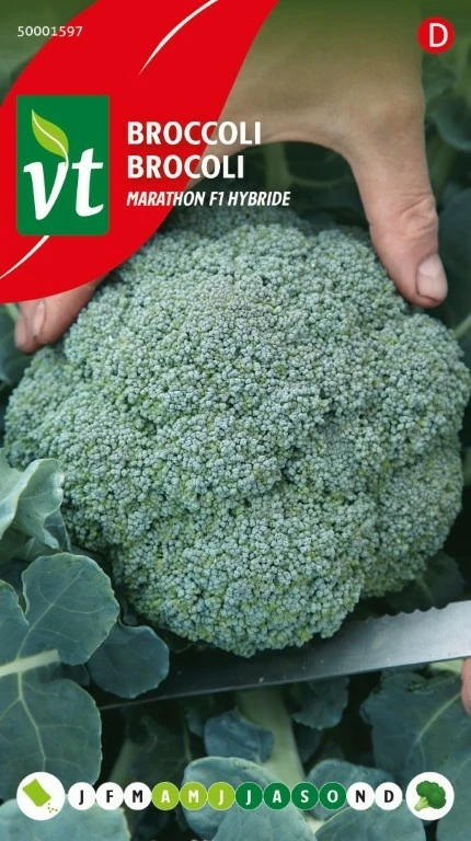 VT BROCCOLI MARATHON F1 HYBRIDE