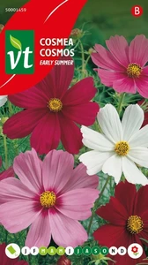 VT COSMEA EARLY SUMMER GEMENGD