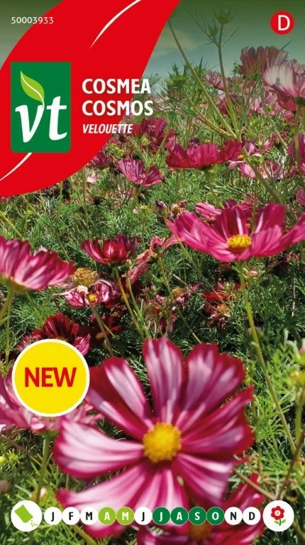 VT COSMOS VELOUETTE