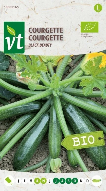 VT COURGETTE BLACK BEAUTY BE-BIO-01