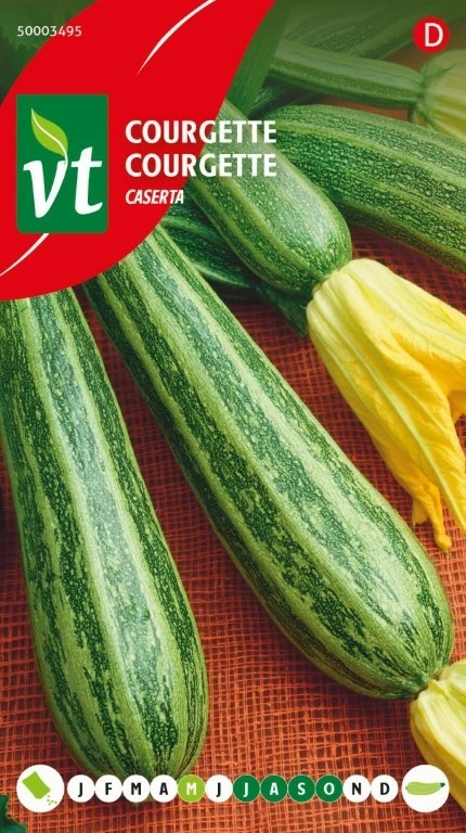 VT COURGETTE COCOZELLE/CASERTA