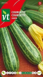 VT COURGETTE COCOZELLE/CASERTA