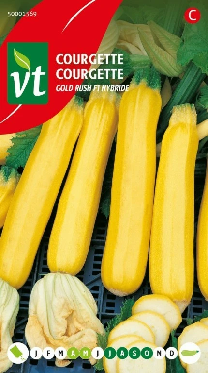 VT COURGETTE GOLD RUSH F1