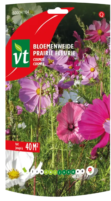 VT DY DE WERELD VAN COSMOS