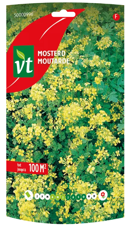 VT DY MOSTERD 250 G