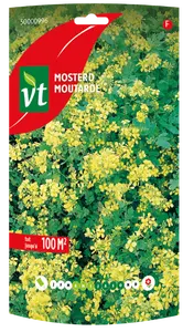 VT DY MOSTERD 250 G