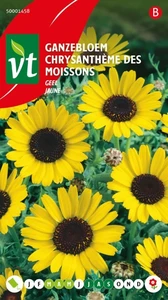 VT GANZEBLOEM GEEL