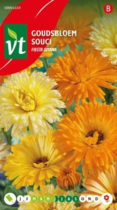 VT GOUDSBLOEM CALENDULA FIESTA GITANA