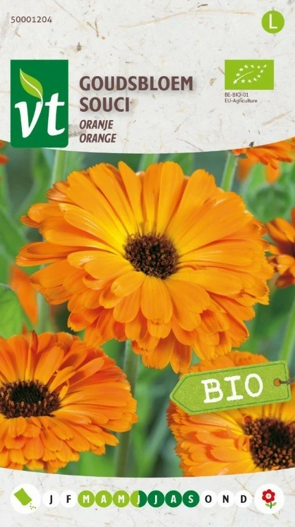 VT GOUDSBLOEM ORANJE BE-BIO-01