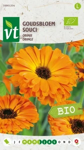 VT GOUDSBLOEM ORANJE BE-BIO-01