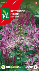 VT KATTENSNOR MAUVE QUEEN