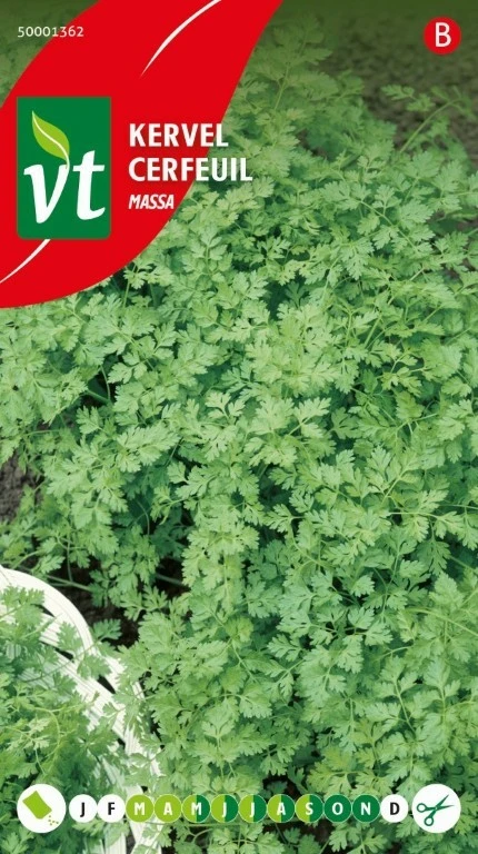 VT KERVEL GEWONE/MASSA