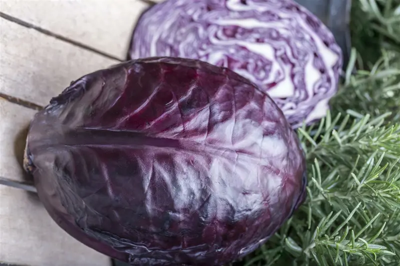 VT KEUKENRAAP RONDE WITTE ROODKOP - afbeelding 2