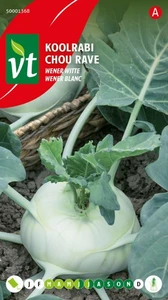 VT KOOLRABI WENER WITTE