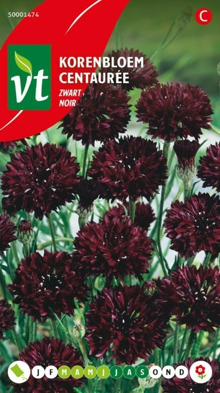 VT KORENBLOEM BLACK BALL