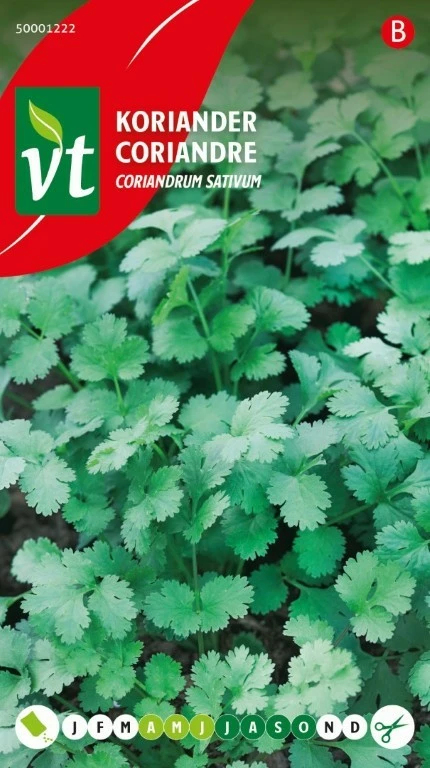 VT KORIANDER