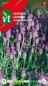 VT LAVENDEL