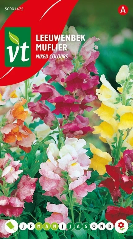 VT LEEUWENBEK MIXED COLOURS