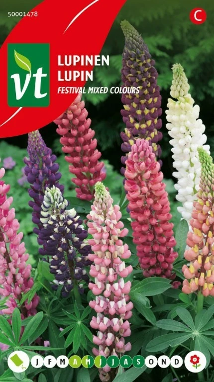 VT LUPINE FESTIVAL GEMENGD