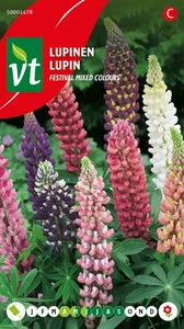 VT LUPINE FESTIVAL GEMENGD