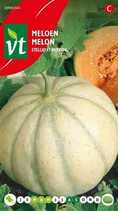 VT MELOEN RUBENS/STELLIO F1