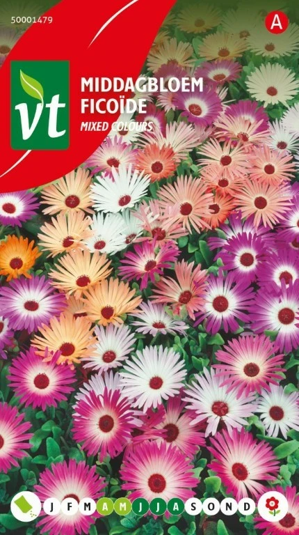 VT MIDDAGBLOEM GEMENGD