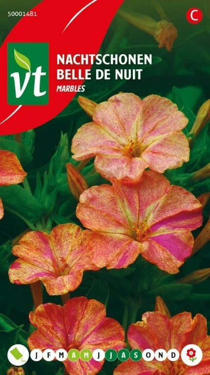 VT NACHTSCHONEN MARBLES