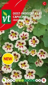 VT OOST-INDISCHE KERS CREAM TROIKA