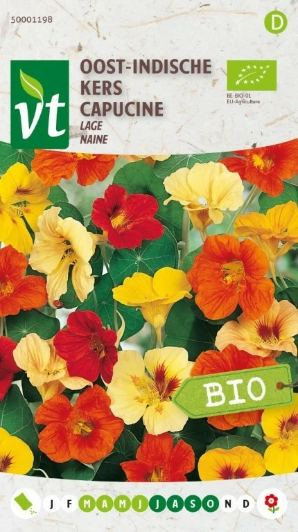 VT OOST-INDISCHE KERS LAGE BE-BIO-01