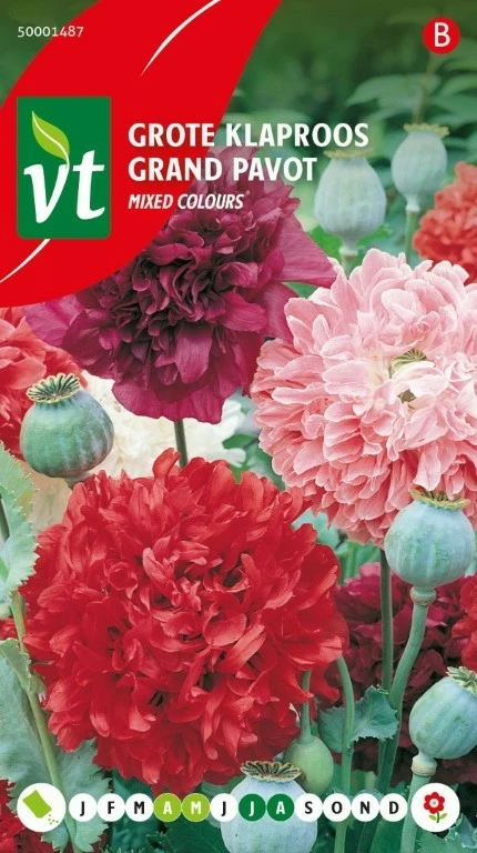 VT PAPAVER GROTE KLAPROOS