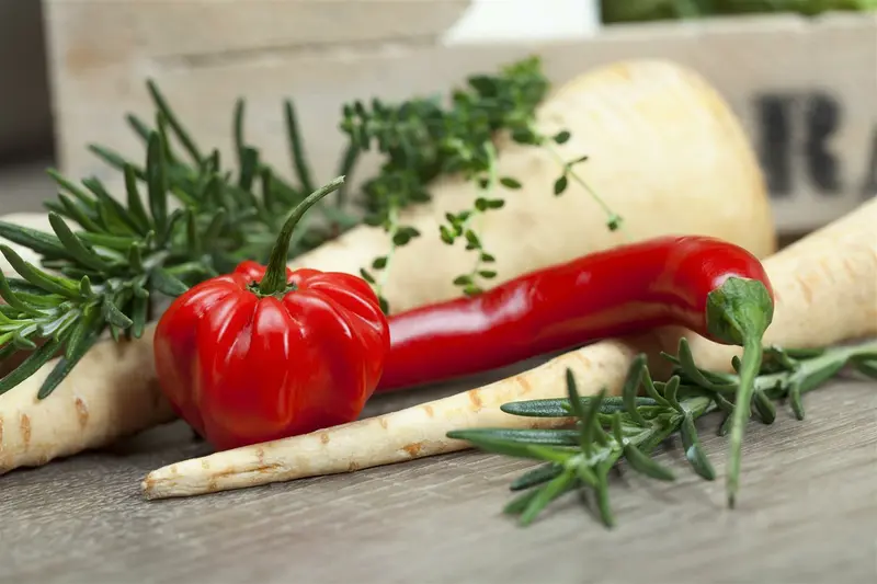 VT PASTINAAK MITRA - afbeelding 3